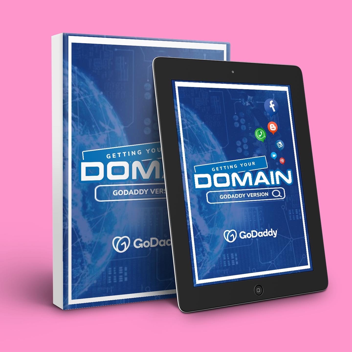PLR Ebook: Domains